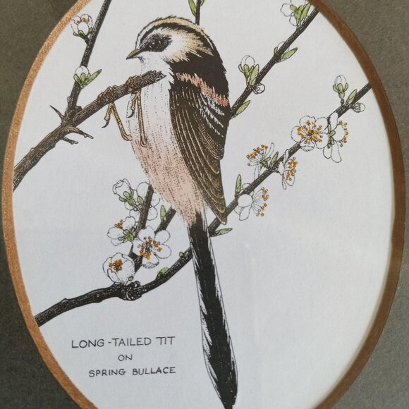 VTG John Morland Birds Hand Colored Glastonbury Print Framed Made in England - Picture 4 of 9